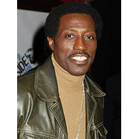 Wesley Snipes Bailed Ahead Of Tax Appeal
